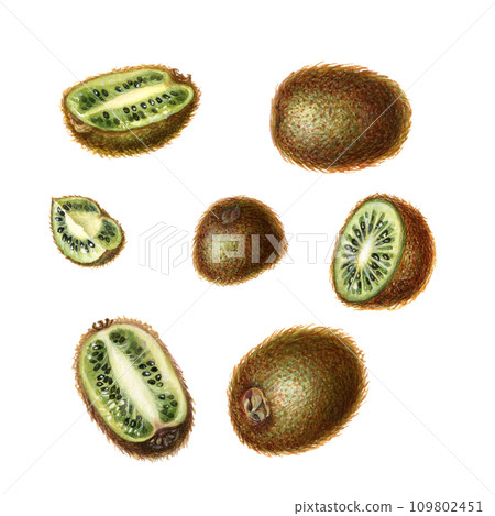 Watercolor bright brown fruits of kiwi with pieces and slices for the design of labels, covers, websites of juices, food, cakes, confectionery, sweets 109802451