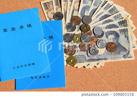 養老金賬簿和貨幣 養老金形象 109803158