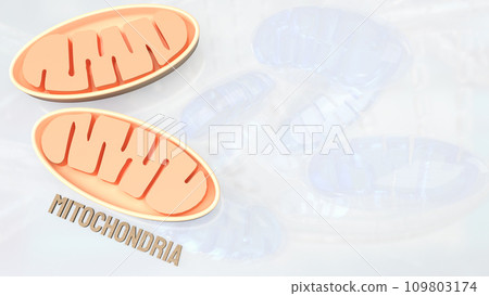 The Mitochondria for sci or health concept 3d rendering. 109803174