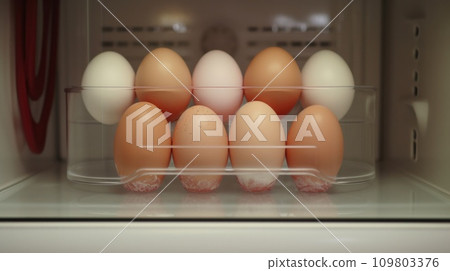several eggs are placed in the refrigerator several eggs are placed in the refrigerator 109803376