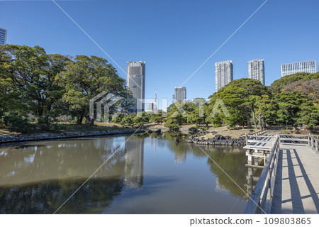 Hamarikyu Gardens in winter 109803865