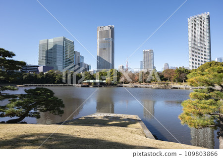 Hamarikyu Gardens in winter Hamarikyu Gardens in winter 109803866