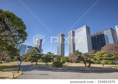 冬天的濱離宮恩賜庭園 冬天的濱離宮恩賜庭園 109803870