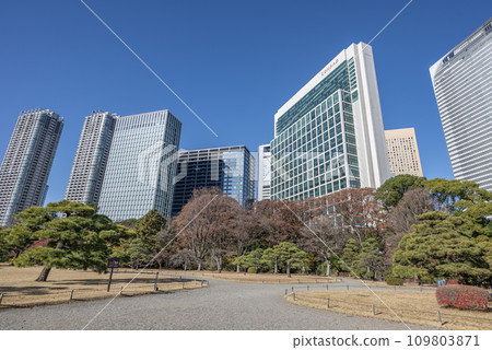 冬天的濱離宮恩賜庭園 109803871