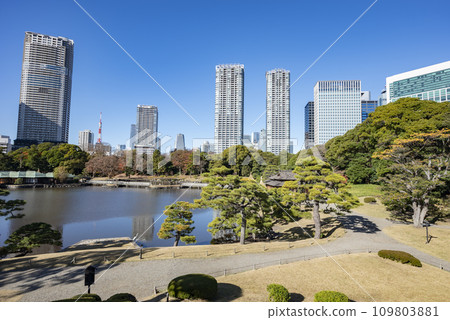 冬天的濱離宮恩賜庭園 109803881