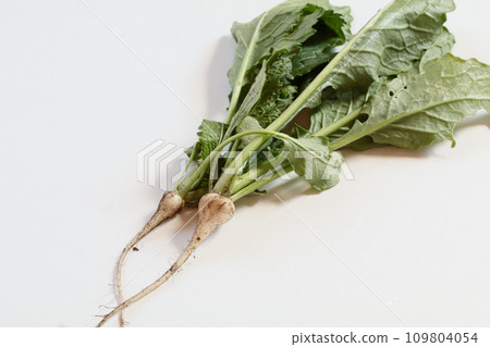 帶泥的稀蘿蔔青 109804054