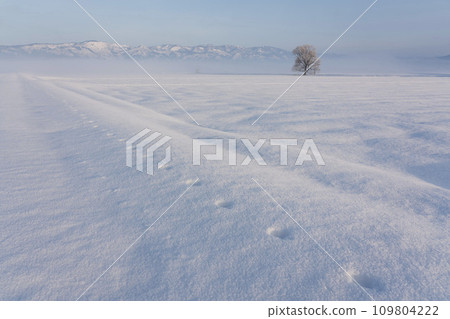 多雪的領域風景 多雪的領域風景 109804222
