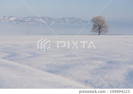 多雪的領域風景 多雪的領域風景 109804223