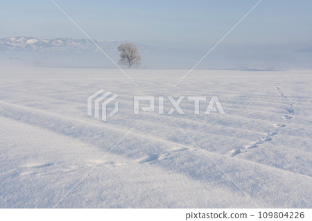 多雪的領域風景 多雪的領域風景 109804226
