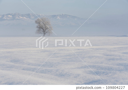 多雪的領域風景 多雪的領域風景 109804227