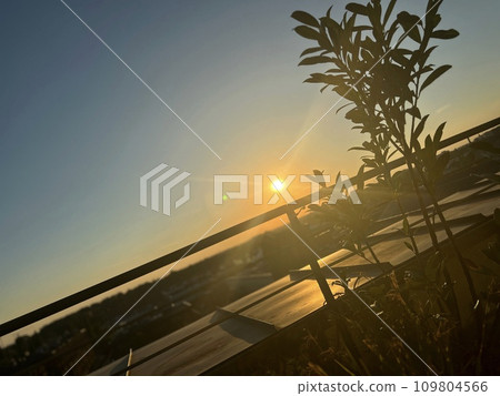Sunset on the roof of the house. The sun goes down. 109804566