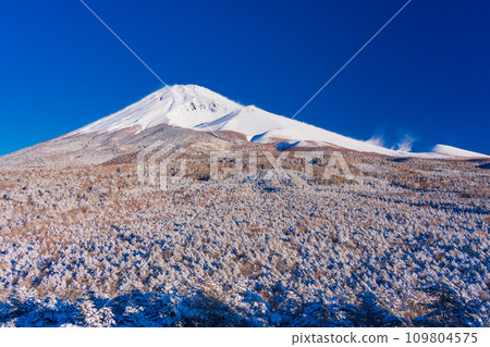 （靜岡縣）黎明時分，富士山被新雪覆蓋，雪煙繚繞 109804575