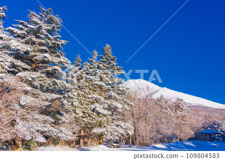 (Shizuoka Prefecture) Mt. Fuji seen from Mizugatsuka Park with fresh snowfall 109804583