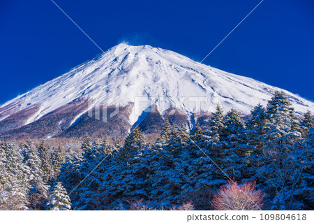 (Shizuoka Prefecture) Mt. Fuji covered with fresh snow and snow smoke dancing (Shizuoka Prefecture) Mt. Fuji covered with fresh snow and snow smoke dancing 109804618