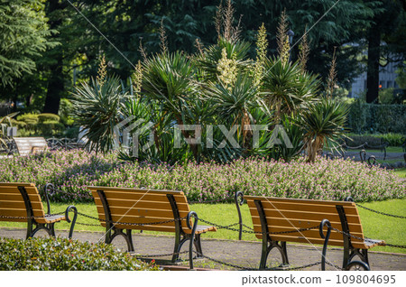 東京千代田區日比谷公園 東京千代田區日比谷公園 109804695
