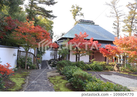 八事興勝寺庭園秋葉 八事興勝寺庭園秋葉 109804770