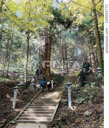 Daiyusan Saijoji Temple, Minamiashigara City, Kanagawa Prefecture 109804772