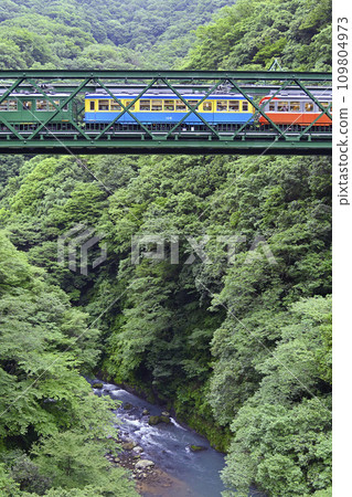 Hakone Tozan Railway [Kanagawa Prefecture] Deyama Bridge and old rolling stock 109804973