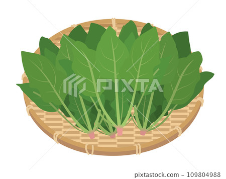 Illustration of spinach on a colander 109804988