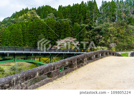 Cherry blossom season, sightseeing spot, scenery around Reitai Bridge (Misato Town, Shimomashiki District, Kumamoto Prefecture) Cherry blossom season, sightseeing spot, scenery around Reitai Bridge (Misato Town, Shimomashiki District, Kumamoto Prefecture) 109805224