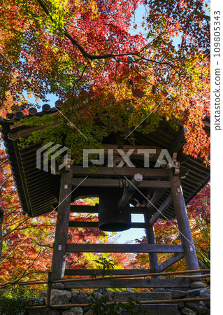 The bell tower of Jojakkoji Temple (Kyoto) wrapped in autumn leaves The bell tower of Jojakkoji Temple (Kyoto) wrapped in autumn leaves 109805343