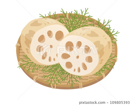 籃子裡的蓮藕插畫 籃子裡的蓮藕插畫 109805393