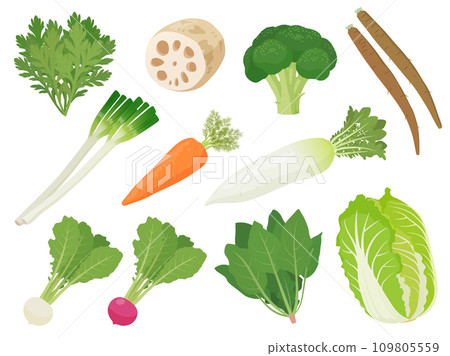 Winter vegetable illustration set 109805559