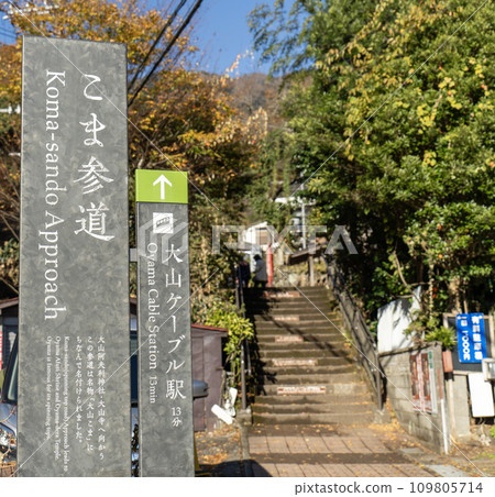Daisen (Isehara City, Kanagawa Prefecture) Koma Sando Entrance 109805714