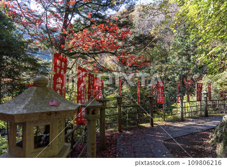 Daisen (Isehara City, Kanagawa Prefecture) The approach to Daisen-dera from Daisen-dera Station 109806216