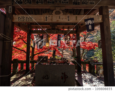 Daisen (Isehara City, Kanagawa Prefecture) Scenery seen from the approach to Daisenji Temple 109806655