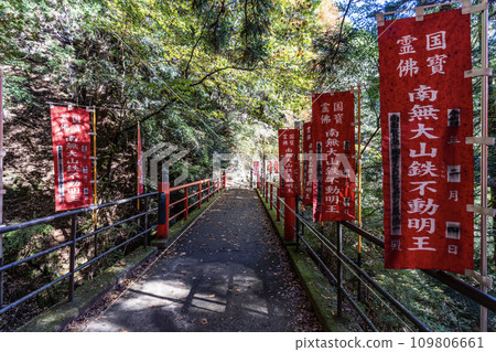 Daisen (Isehara City, Kanagawa Prefecture) The approach from Daisenji Temple to the cable car station 109806661