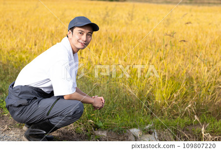 young man growing rice 109807220