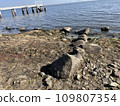 Sakamoto Castle Ruins 109807354