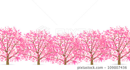 Cherry blossom landscape spring background Cherry blossom landscape spring background 109807436