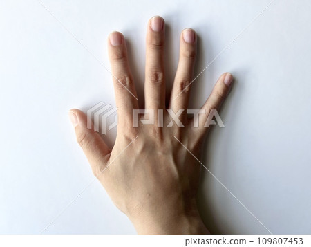 手勢手背 109807453