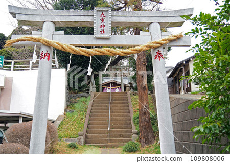 Torii of Kokonoe Shrine [Kawaguchi City, Saitama Prefecture] 109808006