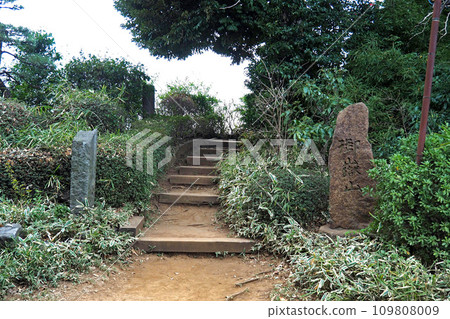 九重神社境內的御嶽山【埼玉縣川口市】 109808009