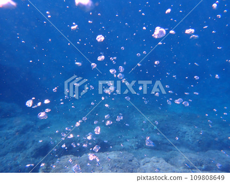 狐尾海底 狐尾海底 109808649