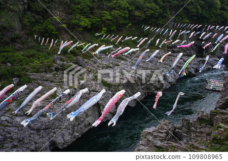 河面上排列著許多鯉魚旗 河面上排列著許多鯉魚旗 109808965