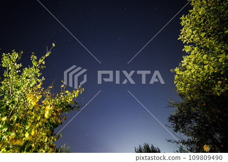 starry night sky in garden, wide angle capture in zenith direction starry night sky in garden, wide angle capture in zenith direction 109809490