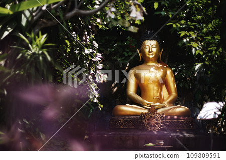 Buddha statue with closed eyes in the jungle 109809591