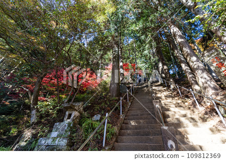 Daisen (Isehara City, Kanagawa Prefecture) Daisen summit trailhead 109812369