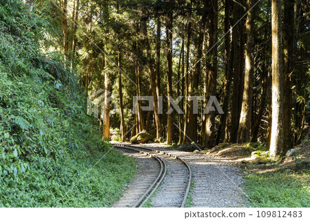 The old forest railway section of the Shuishan Trail at Alishan Forest Recreation Area in Chiayi, Taiwan. Now obsolete and unable to operate. 109812483