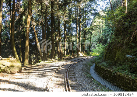 The old forest railway section of the Shuishan Trail at Alishan Forest Recreation Area in Chiayi, Taiwan. Now obsolete and unable to operate. 109812484