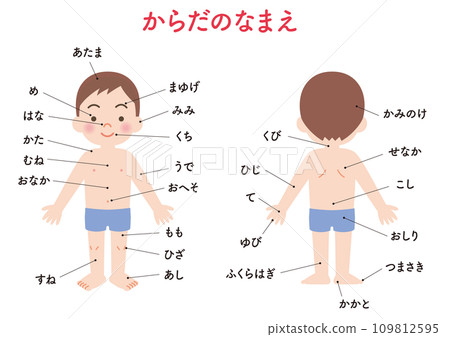 身體名稱男孩-插圖素材 [109812595] - PIXTA圖庫