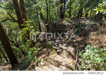 Daisen (Isehara City, Kanagawa Prefecture) Scenery of Onnazaka 109812612