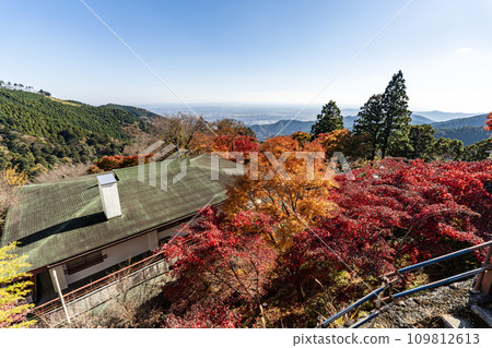 Daisen (Isehara City, Kanagawa Prefecture) View from Afuri Shrine 109812613