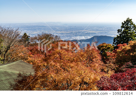 Daisen (Isehara City, Kanagawa Prefecture) View from Afuri Shrine 109812614