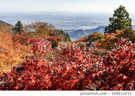 Daisen (Isehara City, Kanagawa Prefecture) View from Afuri Shrine 109812615