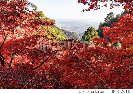 Daisen (Isehara City, Kanagawa Prefecture) View from Afuri Shrine 109812618